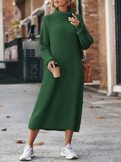 Long Below The Knee Loose High Collar Knitted Dress