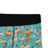Men's Boxers (AOP)