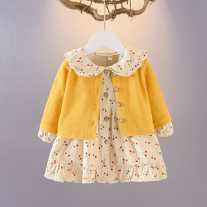 Baby Girl Autumn Clothing dress set