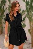 Classic Ladies Shirt Dress
