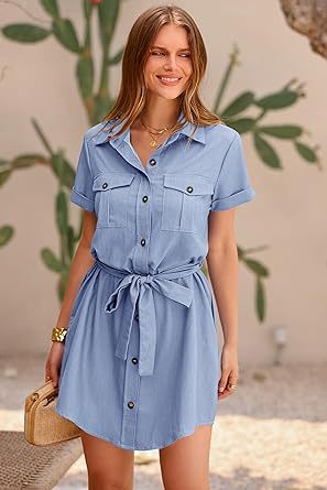 Classic Ladies Shirt Dress
