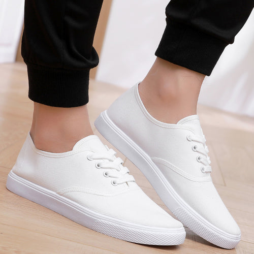 Lace-up Canvas All-match Casual Shoes