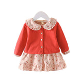 Baby Girl Autumn Clothing dress set