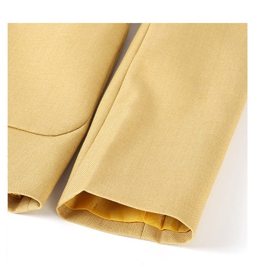 Spring And Autumn Fashion Commuter Women's Suits